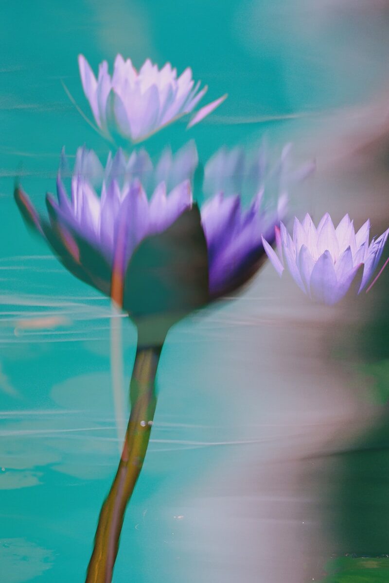 Liability for Public Infrastructure Failures